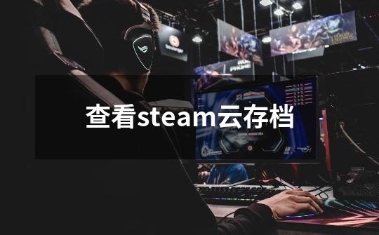 查看steam云存档-第1张-游戏相关-话依网