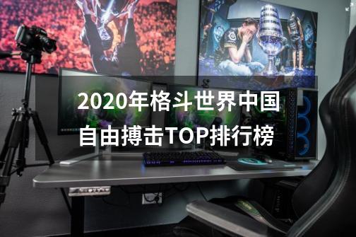 2020年格斗世界中国自由搏击TOP排行榜-第1张-游戏相关-话依网