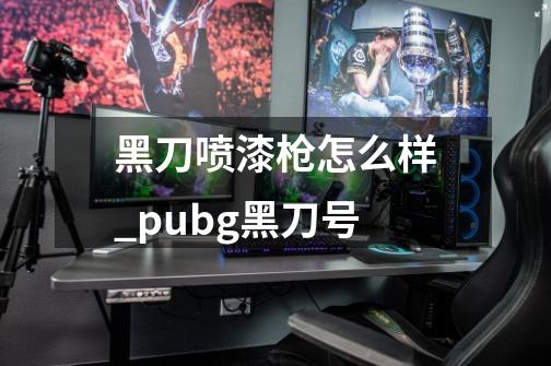 黑刀喷漆枪怎么样_pubg黑刀号-第1张-游戏相关-话依网