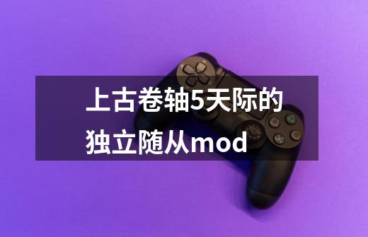 上古卷轴5天际的独立随从mod-第1张-游戏相关-话依网