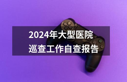 2024年大型医院巡查工作自查报告-第1张-游戏相关-话依网