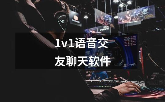 1v1语音交友聊天软件-第1张-游戏相关-话依网