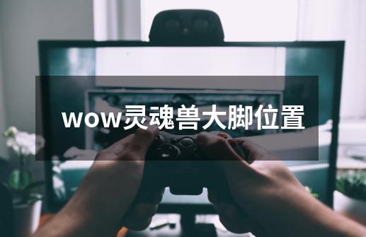 wow灵魂兽大脚位置-第1张-游戏相关-话依网