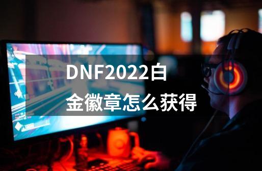 DNF2022白金徽章怎么获得-第1张-游戏相关-话依网