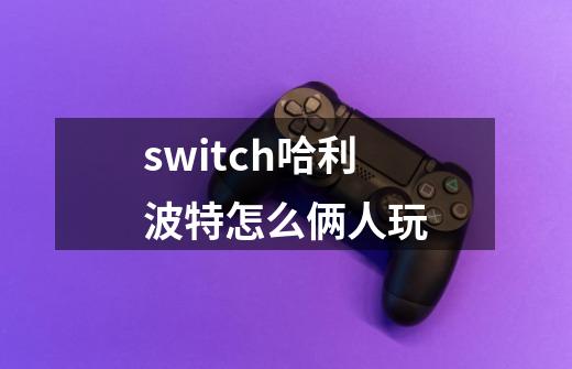 switch哈利波特怎么俩人玩-第1张-游戏相关-话依网