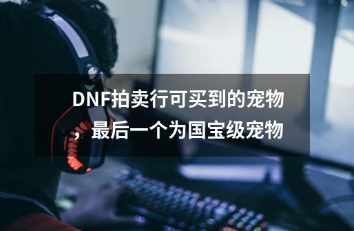 DNF拍卖行可买到的宠物，最后一个为国宝级宠物-第1张-游戏相关-话依网