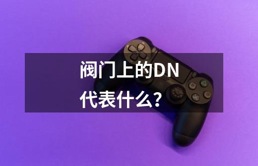 阀门上的DN代表什么？-第1张-游戏相关-话依网