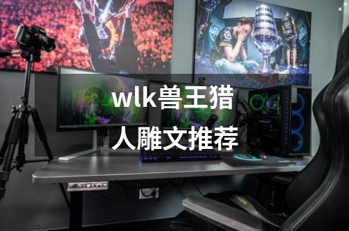 wlk兽王猎人雕文推荐-第1张-游戏相关-话依网