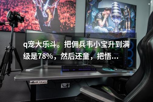 q宠大乐斗。把佣兵韦小宝升到满级是78%，然后还童，把悟性提升，重新升到满级，78%能增加吗？_q宠佣兵资质悟性-第1张-游戏相关-话依网