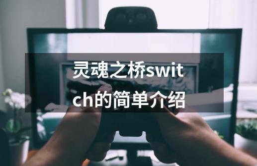 灵魂之桥switch的简单介绍-第1张-游戏相关-话依网