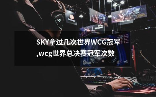 SKY拿过几次世界WCG冠军,wcg世界总决赛冠军次数-第1张-游戏相关-话依网