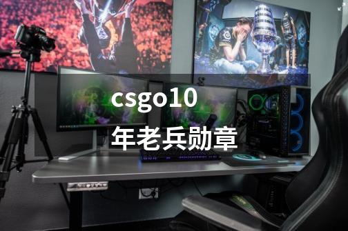 csgo10年老兵勋章-第1张-游戏相关-话依网