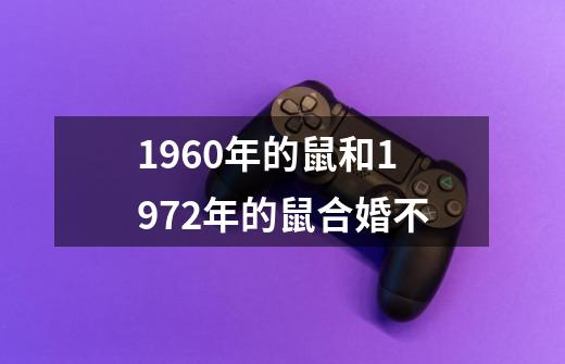 1960年的鼠和1972年的鼠合婚不-第1张-游戏相关-话依网