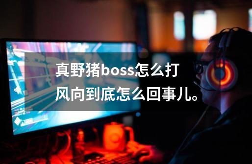 真野猪boss怎么打 风向到底怎么回事儿。-第1张-游戏相关-话依网