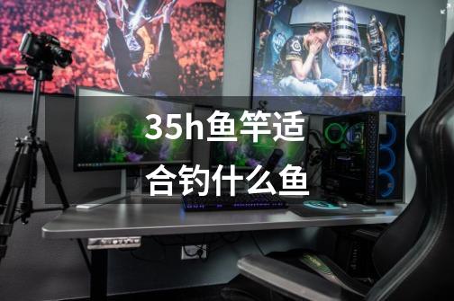 35h鱼竿适合钓什么鱼-第1张-游戏相关-话依网