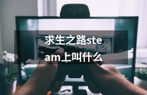 求生之路steam上叫什么-第1张-游戏相关-话依网