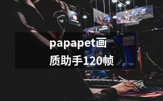 papapet画质助手120帧-第1张-游戏相关-话依网