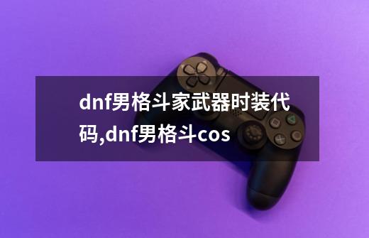 dnf男格斗家武器时装代码,dnf男格斗cos-第1张-游戏相关-话依网