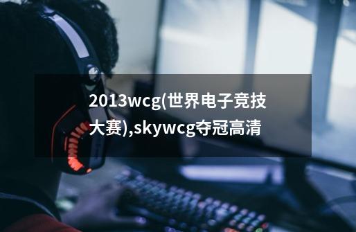 2013wcg(世界电子竞技大赛),skywcg夺冠高清-第1张-游戏相关-话依网