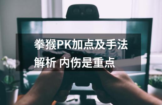 拳猴PK加点及手法解析 内伤是重点-第1张-游戏相关-话依网