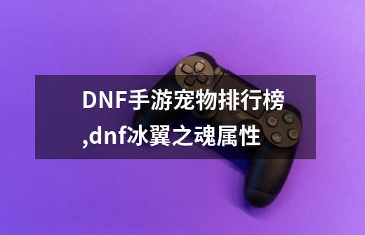 DNF手游宠物排行榜,dnf冰翼之魂属性-第1张-游戏相关-话依网