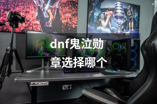 dnf鬼泣勋章选择哪个-第1张-游戏相关-话依网