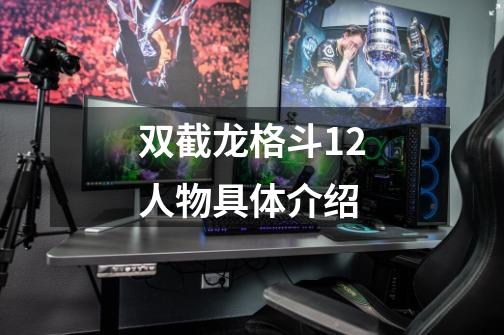 双截龙格斗12人物具体介绍-第1张-游戏相关-话依网