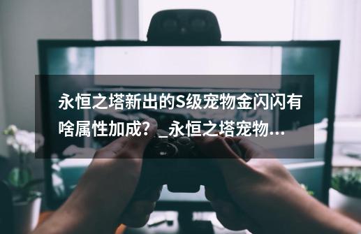 永恒之塔新出的S级宠物金闪闪有啥属性加成？_永恒之塔宠物升级-第1张-游戏相关-话依网