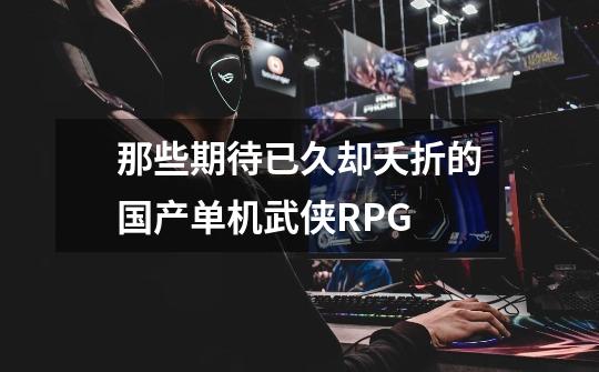 那些期待已久却夭折的国产单机武侠RPG-第1张-游戏相关-话依网