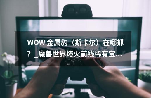 WOW 金属豹（斯卡尔）在哪抓？_魔兽世界熔火前线稀有宝宝-第1张-游戏相关-话依网