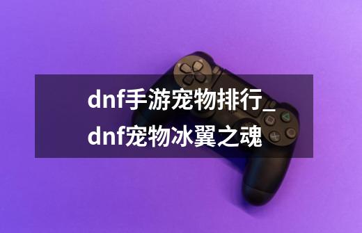 dnf手游宠物排行_dnf宠物冰翼之魂-第1张-游戏相关-话依网