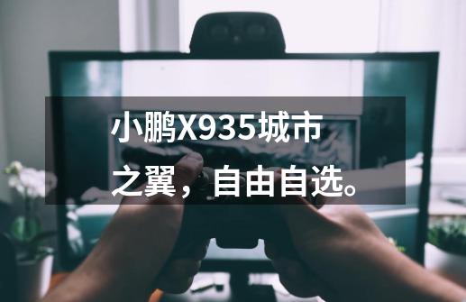 小鹏X935城市之翼，自由自选。-第1张-游戏相关-话依网