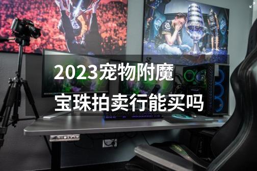 2023宠物附魔宝珠拍卖行能买吗-第1张-游戏相关-话依网