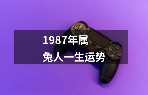 1987年属兔人一生运势-第1张-游戏相关-话依网