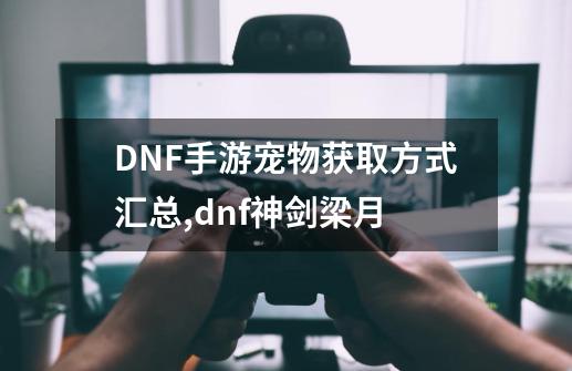 DNF手游宠物获取方式汇总,dnf神剑梁月-第1张-游戏相关-话依网