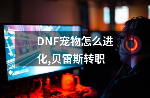 DNF宠物怎么进化,贝雷斯转职-第1张-游戏相关-话依网