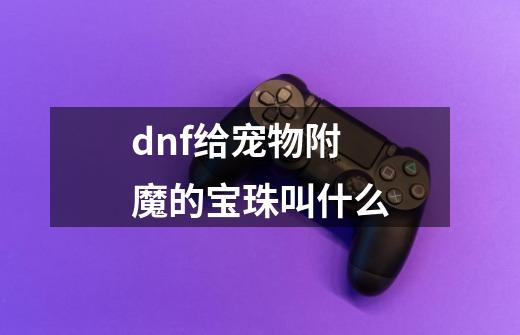 dnf给宠物附魔的宝珠叫什么-第1张-游戏相关-话依网