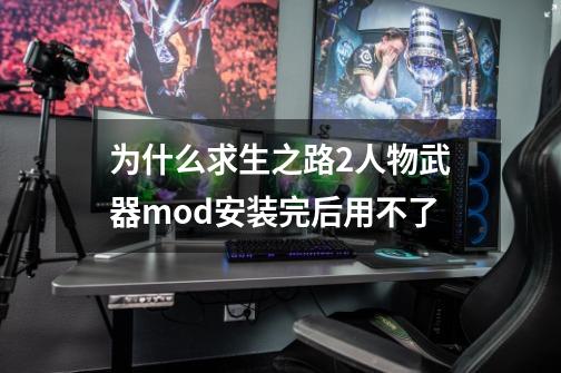 为什么求生之路2人物武器mod安装完后用不了-第1张-游戏相关-话依网