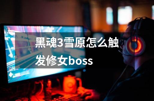 黑魂3雪原怎么触发修女boss-第1张-游戏相关-话依网