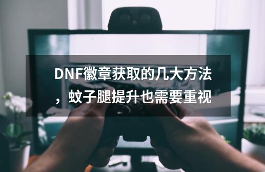 DNF徽章获取的几大方法，蚊子腿提升也需要重视-第1张-游戏相关-话依网