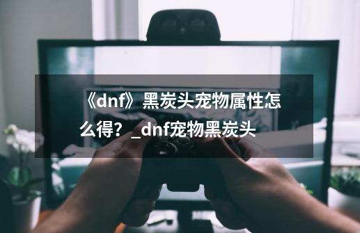 《dnf》黑炭头宠物属性怎么得？_dnf宠物黑炭头-第1张-游戏相关-话依网