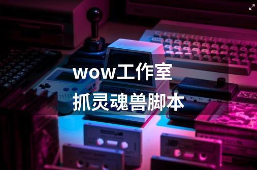 wow工作室抓灵魂兽脚本-第1张-游戏相关-话依网