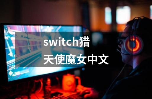 switch猎天使魔女中文-第1张-游戏相关-话依网