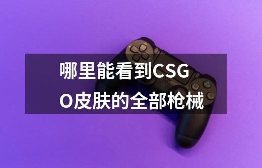 哪里能看到CSGO皮肤的全部枪械-第1张-游戏相关-话依网