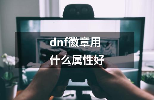 dnf徽章用什么属性好-第1张-游戏相关-话依网