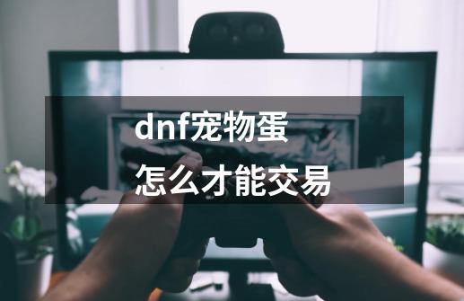 dnf宠物蛋怎么才能交易-第1张-游戏相关-话依网