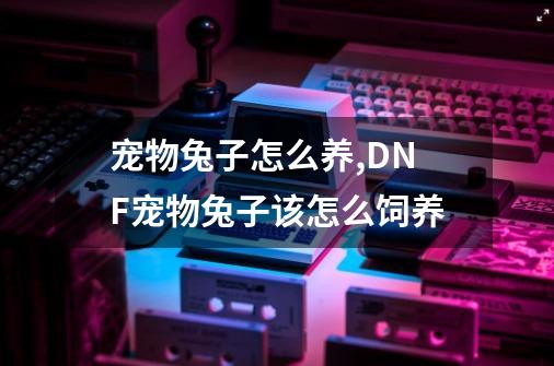 宠物兔子怎么养,DNF宠物兔子该怎么饲养-第1张-游戏相关-话依网