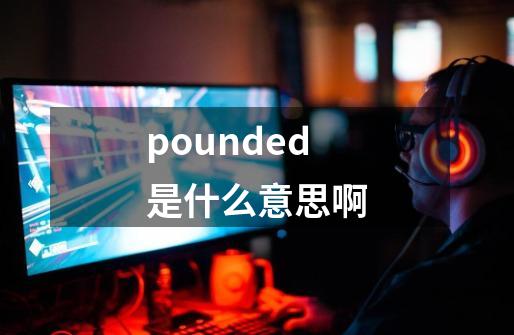 pounded是什么意思啊-第1张-游戏相关-话依网