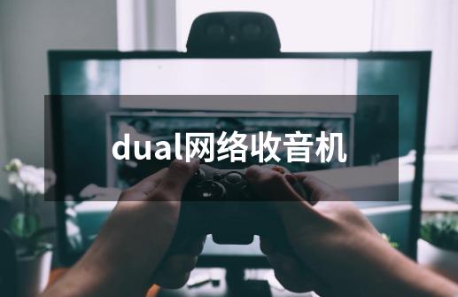 dual网络收音机-第1张-游戏相关-话依网