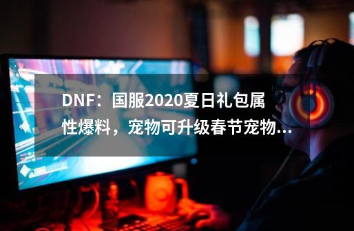 DNF：国服2020夏日礼包属性爆料，宠物可升级春节宠物成最大亮点-第1张-游戏相关-话依网